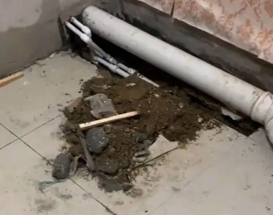 文成卫生间漏水检测哪家好